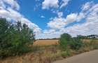 5000 m2 intravilan, Certificat Urbanism 2024 - 6