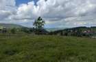 Teren | 13600 mp | Marisel - 2