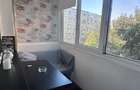 Apartament 2 camere de vanzare Crangasi - 10
