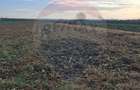 Teren intravilan 3400mp de vanzare la Santion - Santion (Bihor)