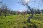Teren de vanzare in Campina - 3