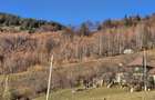 Magura/Brasov, teren generos, pretabil investitie cabane/pensiune/casa - 8