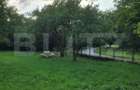 Casa de vanzare, 135 mp si 5 hectare de teren, langa Deva - 6