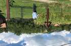 Vand teren superb intravilan in Bistra Muresului, 25.000 EUR - 6