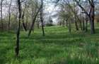 Teren intravilan 14000 mp + IZVOR puternic in jud. Cluj - 3