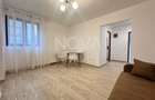Oportunitate investitie proprietate cu chiriasi, Sibiu - 14