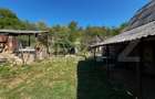 Casa individuala, 97 mp, 2500 mp teren, zona Nadasu - 10
