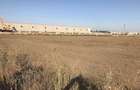 Teren Extravilan 2hectare in Chitila perfect pentru constructii - 1