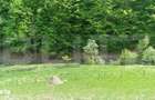 EXCLUSIVITATE! Teren extravilan, 5.400 mp, Comuna Iara, Valea Vadului - 3