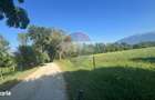 Teren 3,000mp Predelut / Strada Pe Tarina