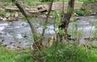 Teren rural de vanzare - electricitate ?i apa - 1