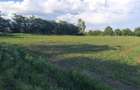 Proprietar intravilan in ?igana?i la strada principala - 7