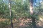 Teren extravilan de vaznare, 5000 mp, zona Matasaru - 7