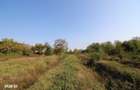 Teren 2041 mp deschidere lac Grivita 20 m - 4