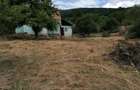 De vanzare teren intravilan 4500 mp,cu casa veche in Sovata - 7