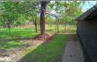 Arges, sat Padureti Vand casa cu livada 1200 mp - 6