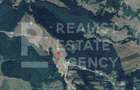 Teren intravilan 4,2 ha de vanzare| ideal investi?ie| POT 40%| Tei?ani - 2