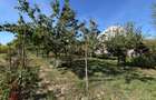 Casa individuala, 86 mp, teren 7370 mp, zona Bilca - 12