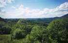 Proprietate de vanzare in sat Barbura, judetul Hunedoara 37.500 mp
