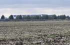 Teren Balotesti-Therme, 18500 euro - 6