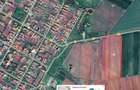 Teren 1.3 Ha Front 44m, Curent, Pozi?ie Excelenta (Zona Sali Evenimente Padure) in com. Pi?chia - 3