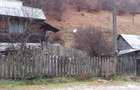 Vand casa in zona de munte - 6