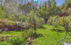 Casa Campani, 8000 mp teren, la poalele Apusenilor - 8