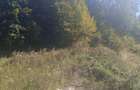 Teren intravilan Ceahlau-Durau - 10