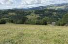 Teren de 5000 mp, în Năpăiești