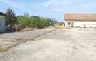 Vand hale frig (1200 mp)+teren intravilan 6400 mp (3000 curte betonata) in Carani (intre TM si AR )