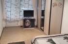 Apartament de inchiriat cu doua canere - 5