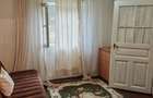 Sat Lanurile, jud. Buzau - 2