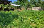 Vanzare casa cu gradina 4000m2 - 5