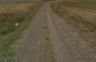 Teren Extravilan - Comuna Copalau, Sat Cerbu - strada Razimei - 1