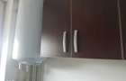 Electronicii, D-na Ghica, sec 2, d-na peste 45 ani, fara animale - 3