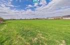 Teren extravilan, 1 ha, in ora?ul Sebi?, Arad - 5