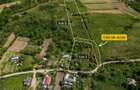 Teren de vanzare + casa in Gorghesti, Bacau 7.391 mp, zona linisti - 10