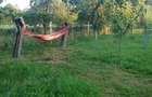 Casă cu 2 camere cu Teren 1800 Mp în Bumbești-Pițic - 1