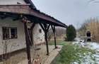 Vand casa de vacanta cu teren de 770 mp (7,7 ari )in Bercu rosu - 3