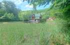 RECO, Cabana pe apa in Padurea Neagra, Bihor - 12