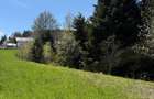 De vanzare teren in zona de munte 2100 mp