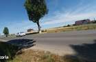 Vanzare teren Buftea | Strada Milano | Intravilan - 3