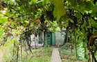 Casa 5 camere Macin, utilitati complete, centrala pe gaz, apa, curte cu vita de vie, mobilata si utilata langa Delta, intre Munti si Dunare