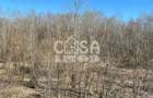 Teren extravilan padure - 6.000 mp, vizavi de Insula Crapilor, Ionest - 7