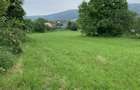 teren intravilan Patrauti - 6