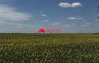Teren de vanzare in Baicoi DN1 | 5.000 mp - 1