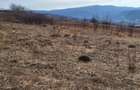 Teren Intravilan 43Ari zona Ortelec-Zalau intre case 4800eur/ar