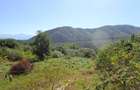 Teren intravilan cu PUZ, str. Ciresilor, Cisnadioara 1409 mp, front 29 m, 59.5 /mp