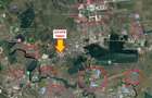 Teren 7.000 MP | Baneasa | Centura Bucuresti | Deschidere 30 - Odai - 5
