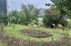Casa P+M Chicerea Tomesti 2.200 mp teren, 30 ml asfalt, livada matura - 14
